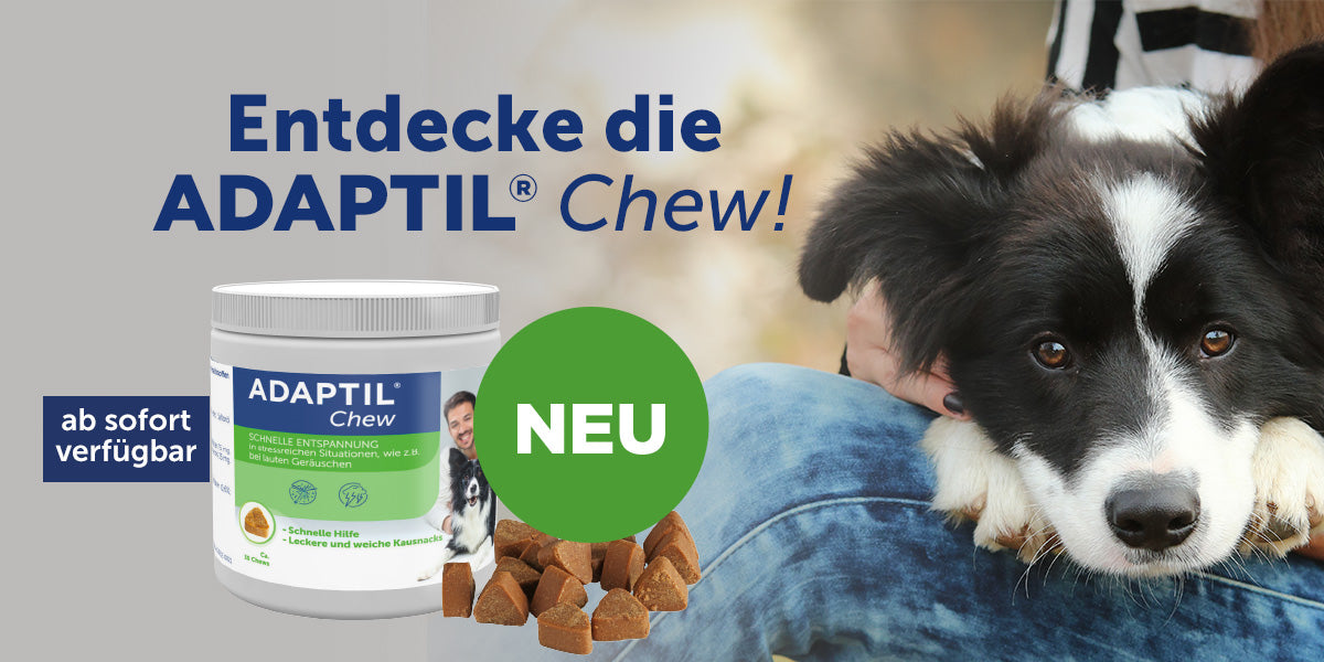 Entdecke unser neues Produkt - ADAPTIL Chew! – ADAPTIL für Hunde