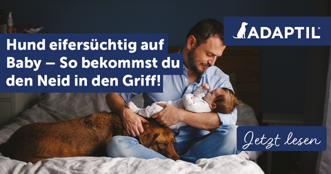 Hund eifersüchtig auf Baby - So bekommst du den Neid in den Griff!