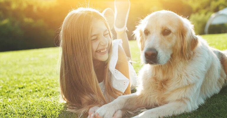 Warum du deine Bindung zum Hund stärken solltest