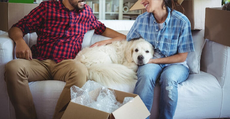 Veränderungen Zuhause? Wie du deinem Hund hilfst, entspannt zu bleiben