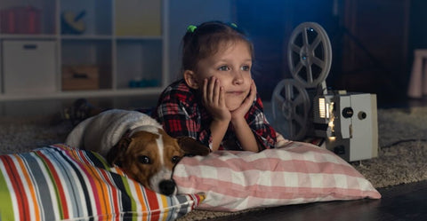 Die 10 schönsten Hundefilme, die du gesehen haben musst!