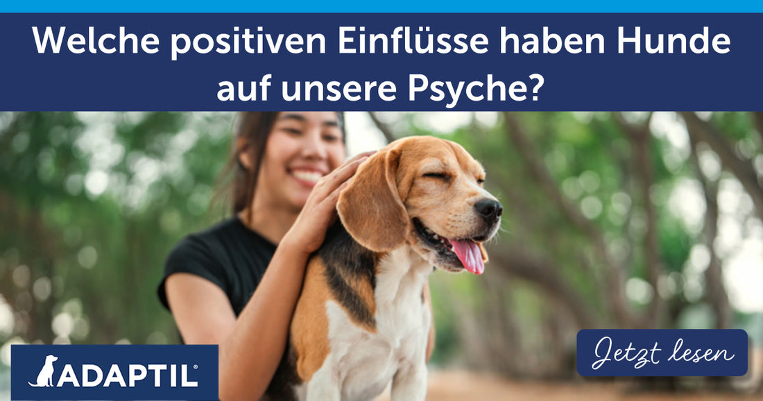 Welche positiven Einflüsse haben Hunde auf unsere Psyche?