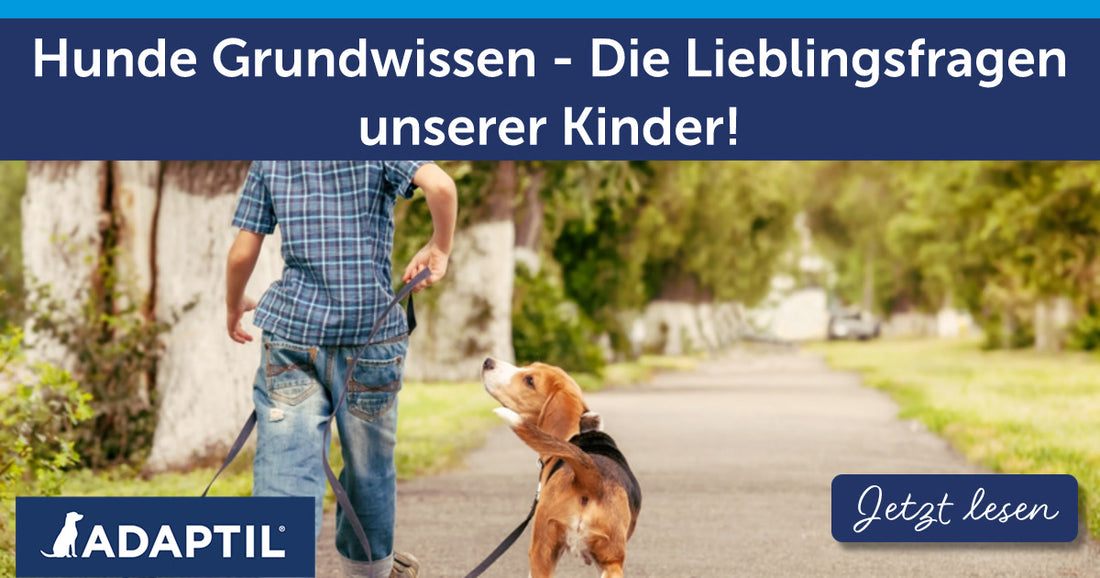 Hunde Grundwissen - Die Lieblingsfragen unserer Kinder!
