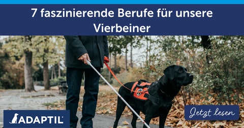 7 faszinierende Berufe für unsere Vierbeiner