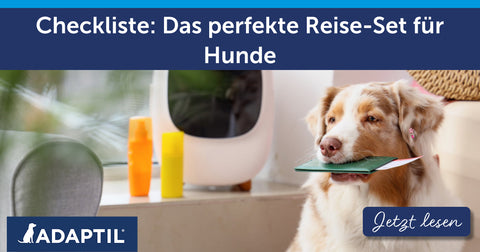 Checkliste: Das perfekte Reise-Set für Hunde