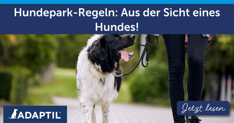 Hundepark-Regeln: Aus der Sicht eines Hundes!