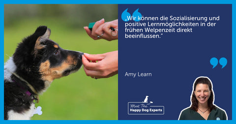 Hundsgeschichten Teil 1 – Die Entwicklung des Welpen | Hundeexperten