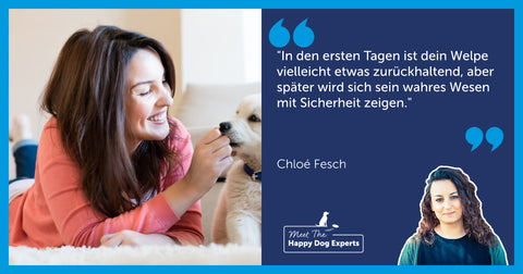 Happy Dog Expert: Unterstützung für deinen Welpen in den ersten Wochen