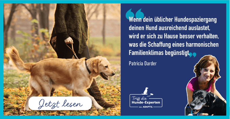 Vorteile von Hundespaziergängen - für Hund und Familie