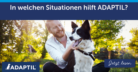 In welchen Situationen hilft ADAPTIL?