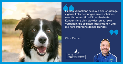Experte Chris Pachel | Wie du deinem Hund bei Veränderungen hilf