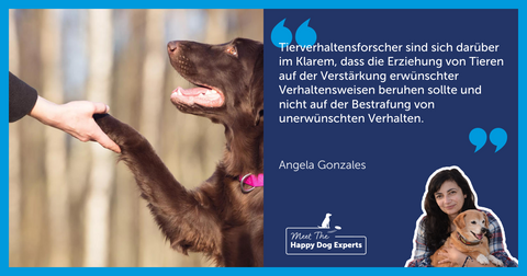 Positive Verstärkung beim Hundetraining: Deswegen ist sie so wichtig!