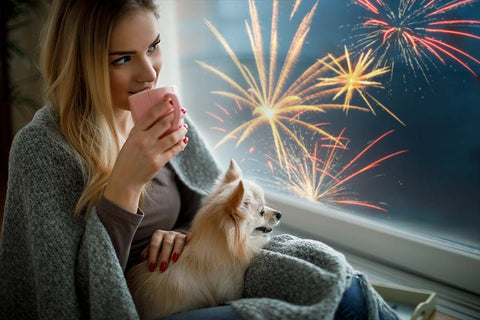Silvester mit Hund | So bereitest du dich optimal vor