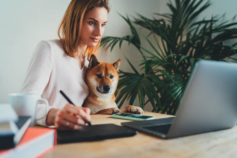Hund im Home Office: Tipps vom flauschigen Kollegen!