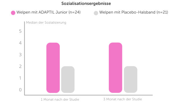 Studie Adaptil Junior Sozialisierung