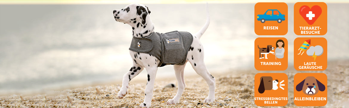 ThunderShirt Indikationen