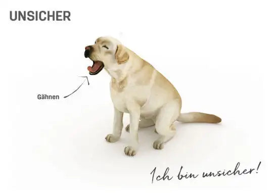 Körpersprache Hund unsicher