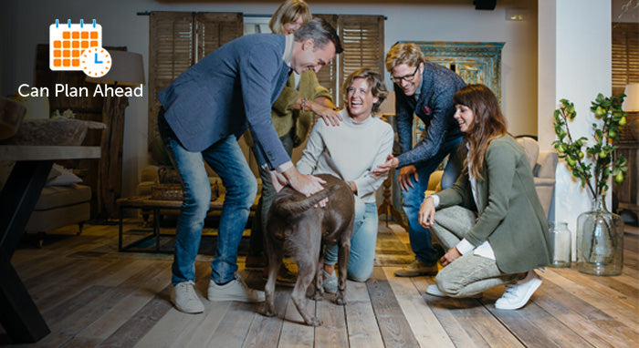 Visitors-How_to_help_your_dog