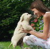 header-icon-Puppy_tips