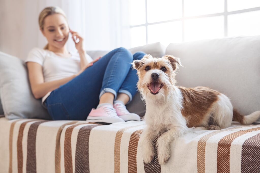 Hund und Frau auf Couch