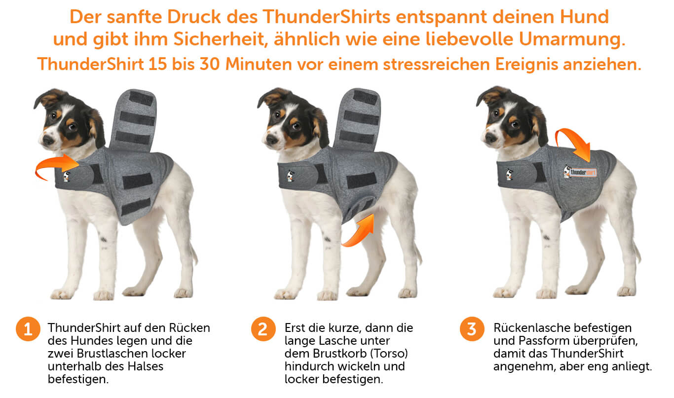 Anleitung Thundershirt anziehen