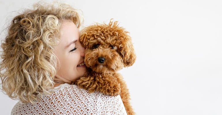 Die 6 besten Hunderassen für Allergiker