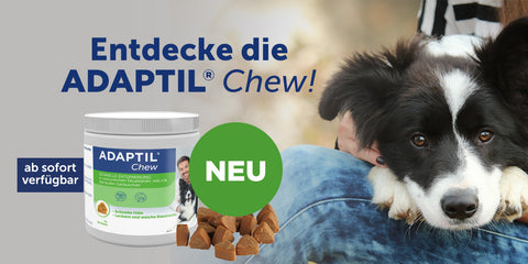 Entdecke unser neues Produkt - ADAPTIL Chew!