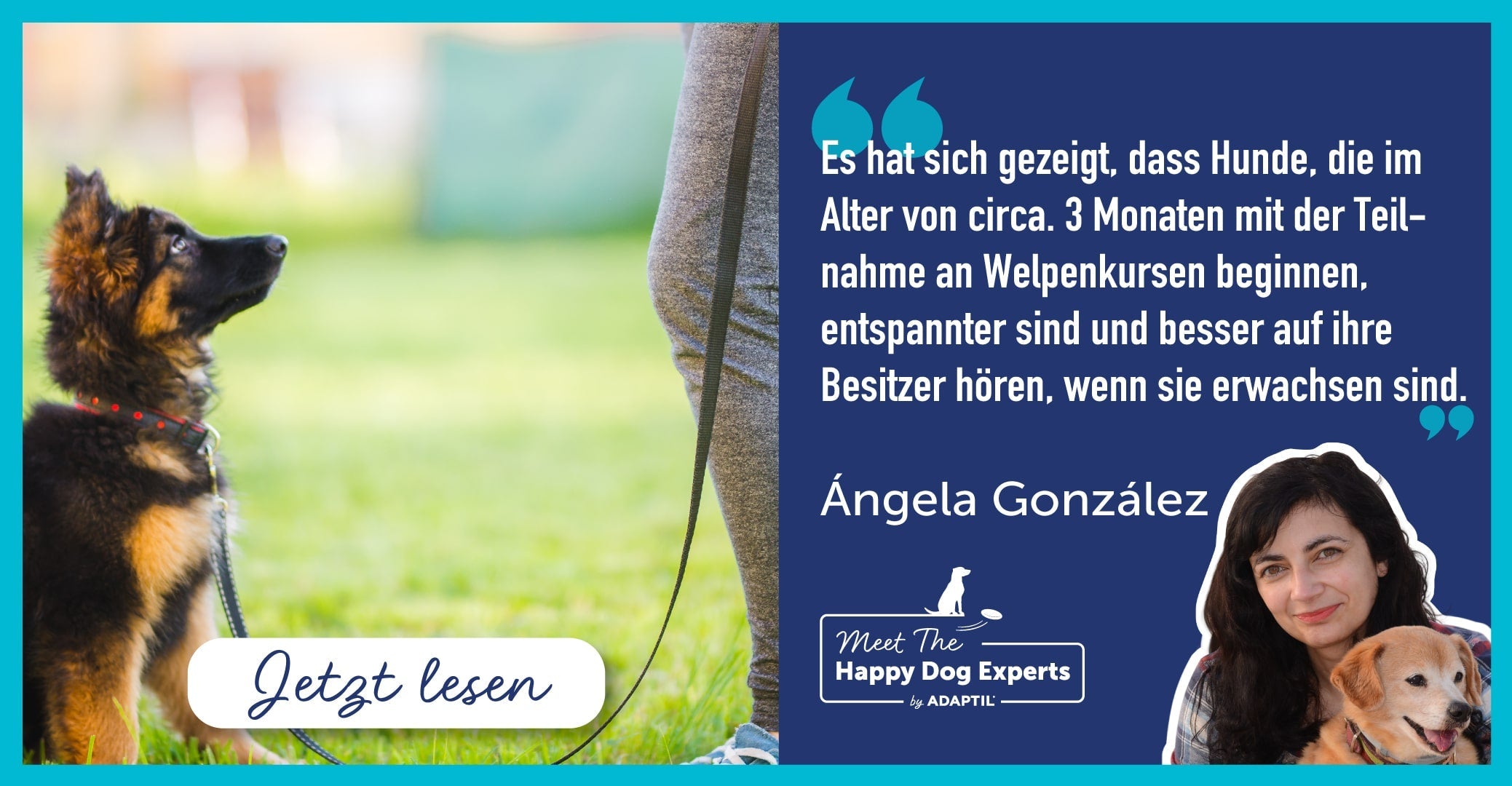 Sollte mein Welpe in die Welpenschule?