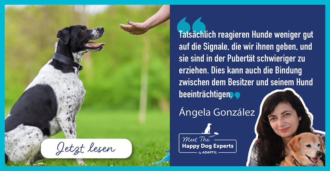 Pubertät beim Hund – Hundeexpertin Ángela González erklärt sie dir!