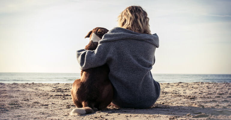 Der beste Freund des Menschen | Woher die Hund-Mensch-Beziehung stammt