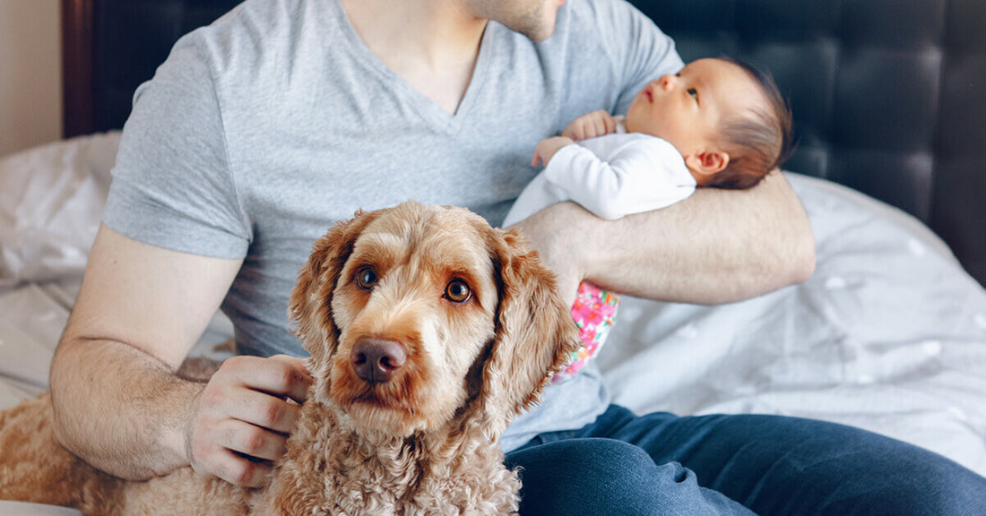 Den Hund ans Baby gewöhnen | 9 Tipps für beste Freunde