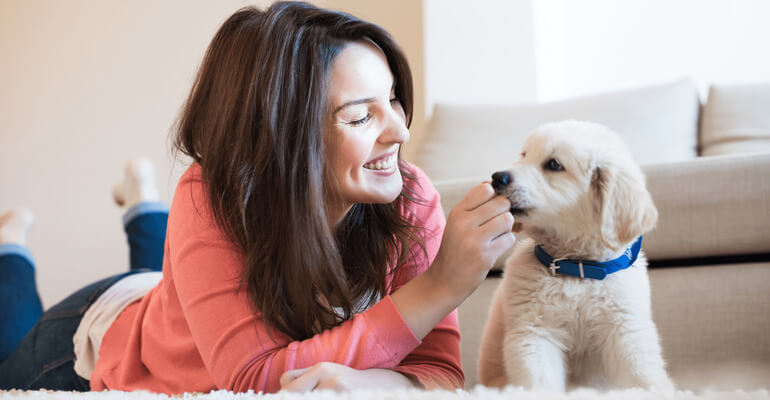 Du möchtest einen Welpen adoptieren? Do's und Dont's!