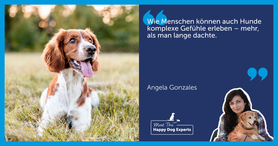 Welche Gefühle haben Hunde wirklich? Eine Hundeexpertin erklärt