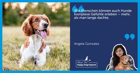 Welche Gefühle haben Hunde wirklich? Eine Hundeexpertin erklärt
