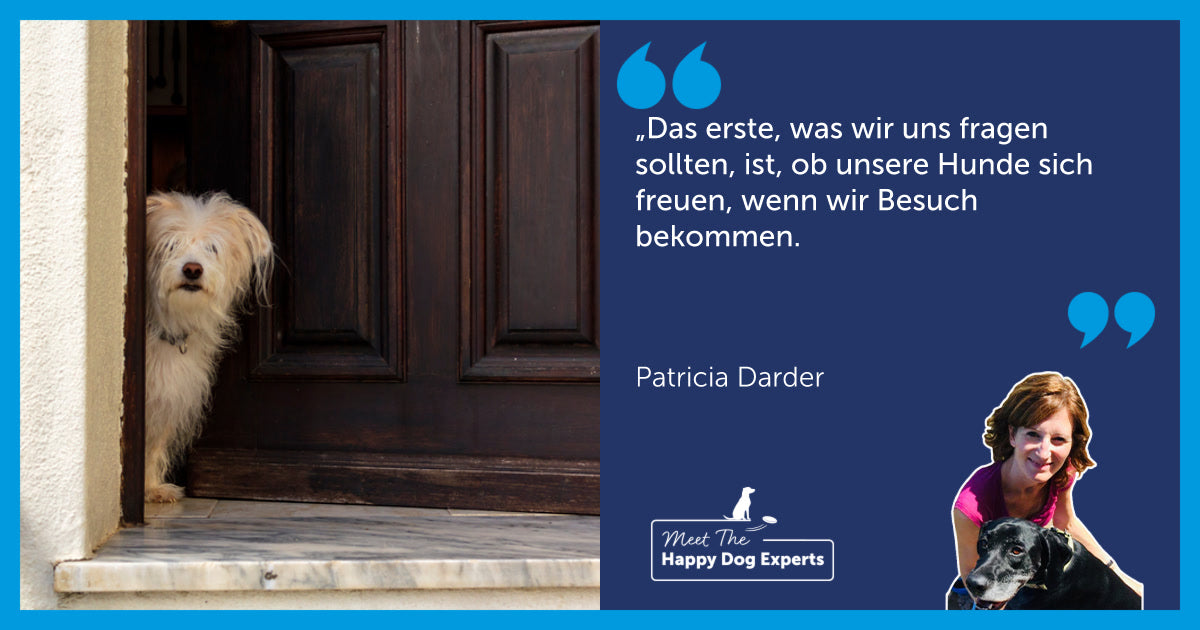 Happy Dog Experte: Wie unzterstütze ich meinem Hund bei Besuch?