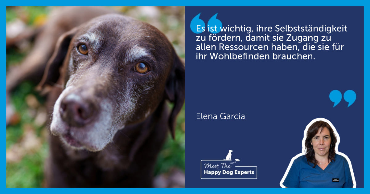 So bleibt dein Hund im Alter fit und gesund: Tipps von der Hundeexpertin