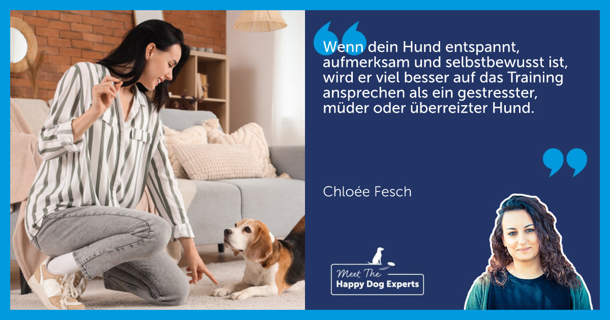 Die perfekte Umgebung fürs Hundetraining: Eine Hundeexpertin erklärt!