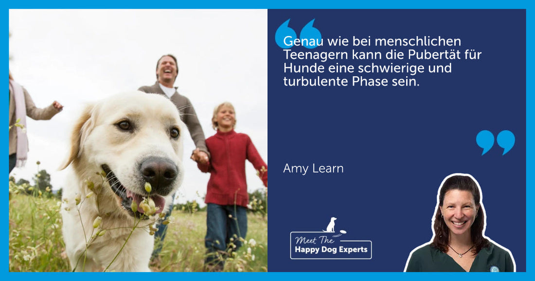 Hundsgeschichten Teil 2 – Von der Jugend bis zur Reife | Hundeexperten