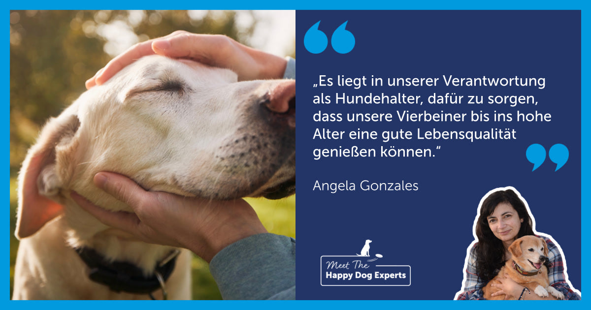 Happy Dog Expert: Kann ein Hund an Alzheimer erkranken?