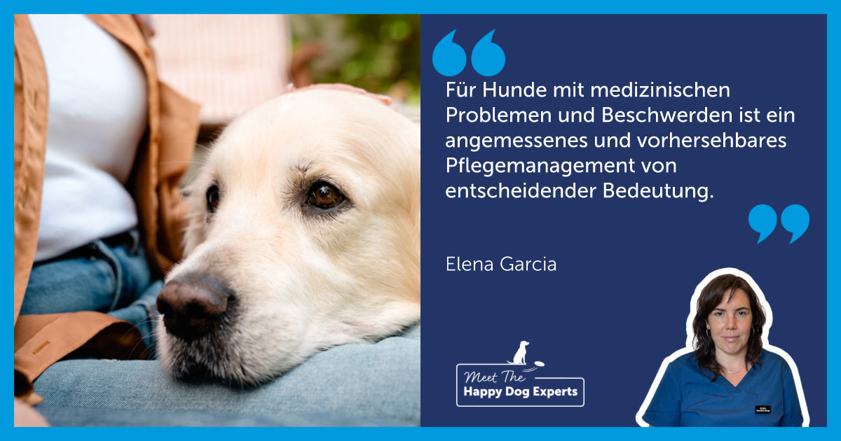 Umgebung für Hunde mit medizinischen Problemen anpassen: Eine Hundeexpertin erklärt!