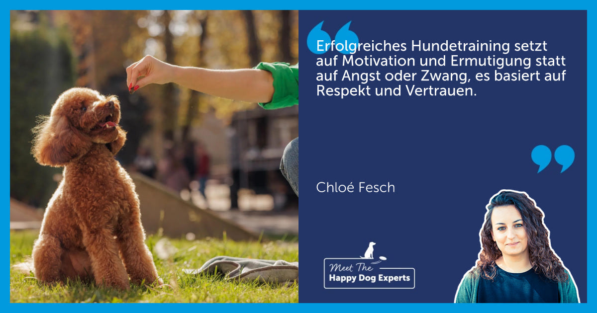 Die Wahl einer respektvollen Erziehungsmethode für deinen Hund: Eine Hundeexpertin erklärt!