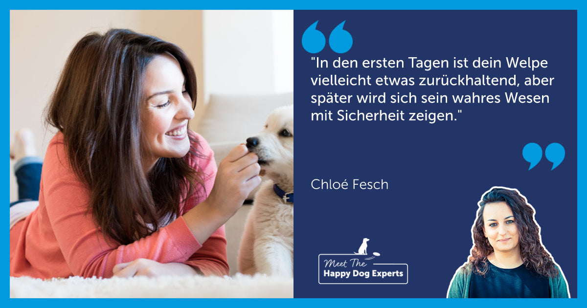 Happy Dog Expert: Unterstützung für deinen Welpen in den ersten Wochen