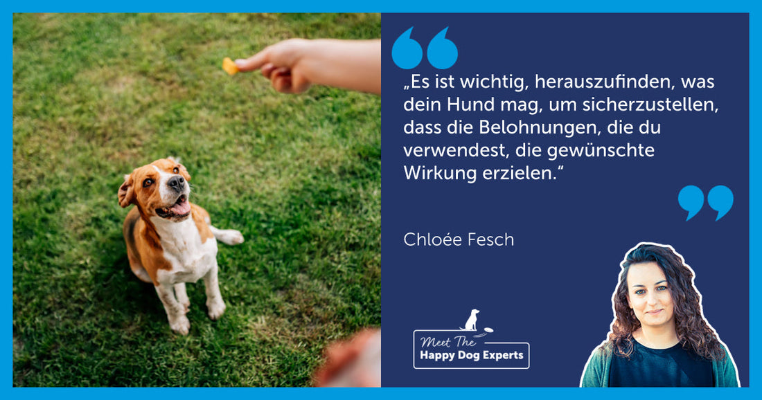 Happy Dog Expertin: So belohnst du deinen Hund richtig