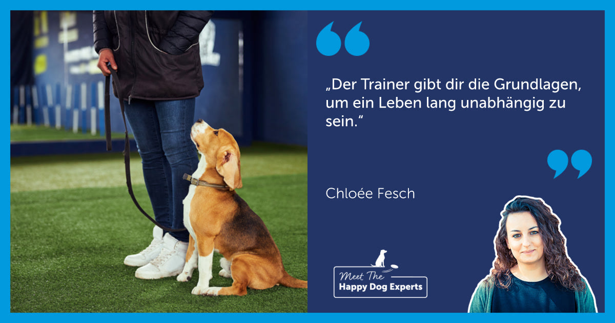 Brauchen alle Hunde einen professionellen Trainer?