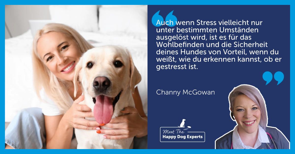 Hundeverhalten, das auf Stress hindeutet: Eine Hundexpertin klärt auf!
