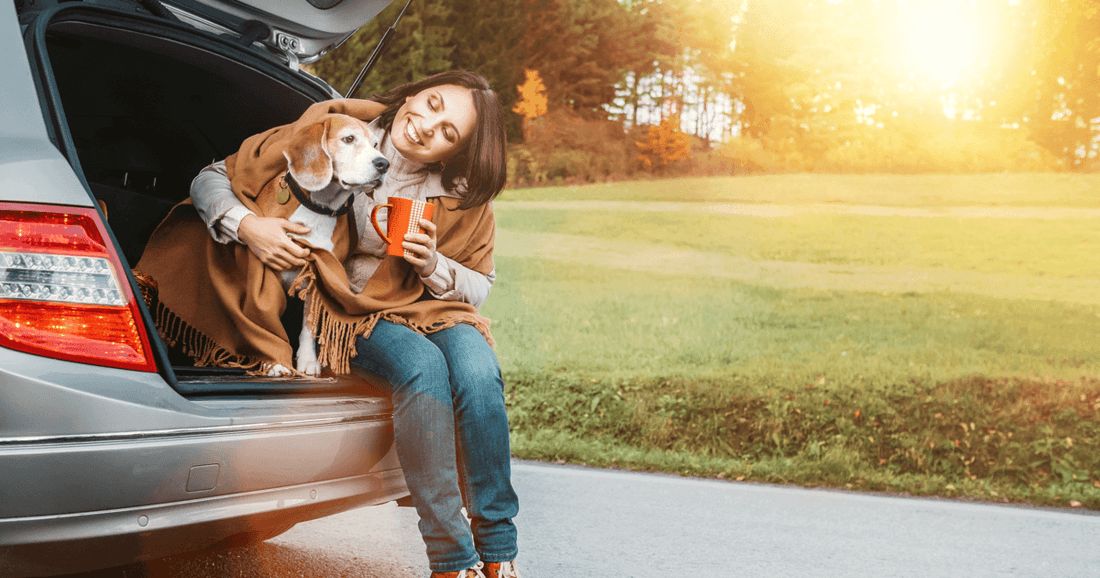 Sicheres Autofahren mit deinem Hund | 4 Tipps