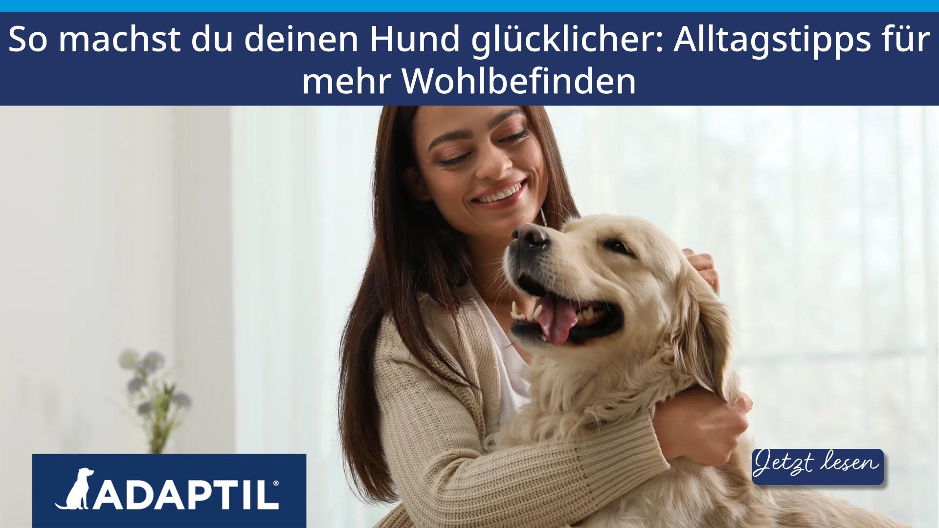 So machst du deinen Hund glücklicher: Alltagstipps für mehr Wohlbefinden