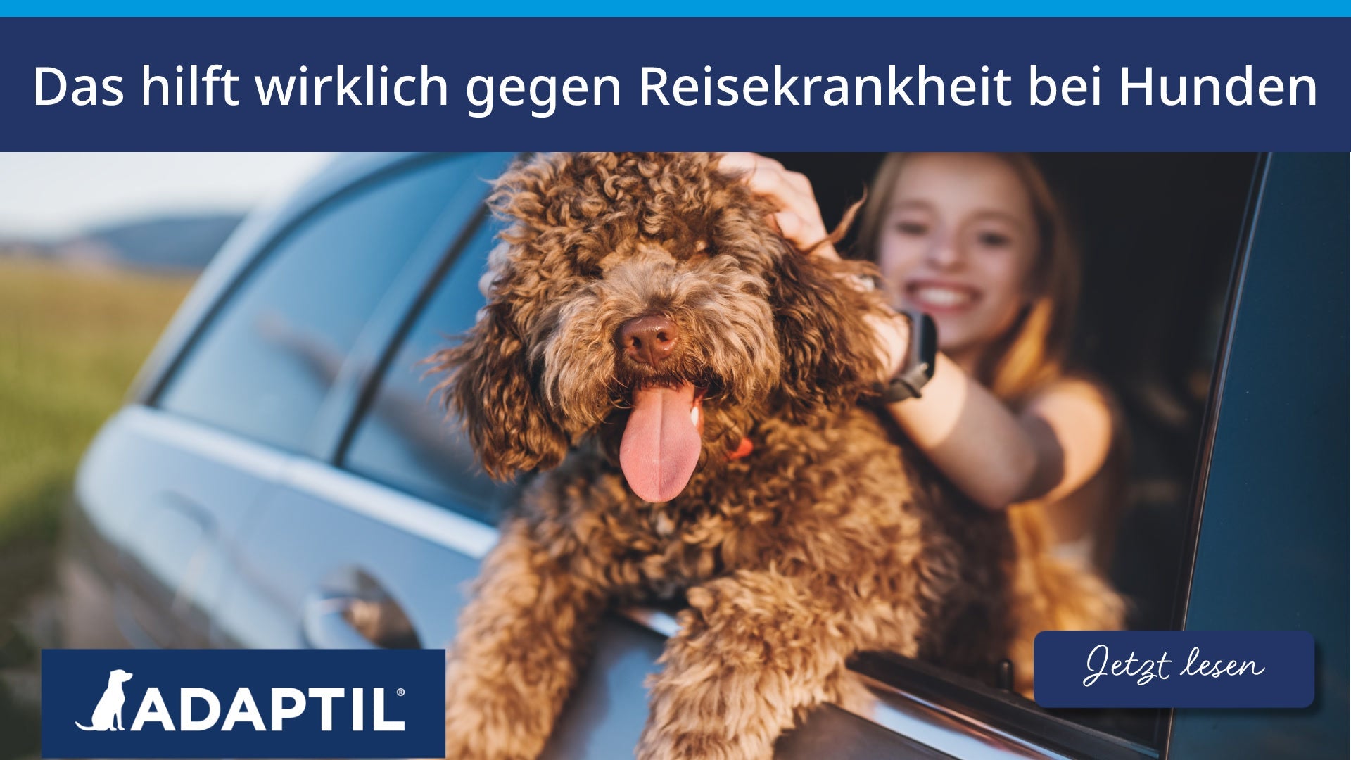 Das hilft wirklich gegen Reisekrankheit bei Hunden