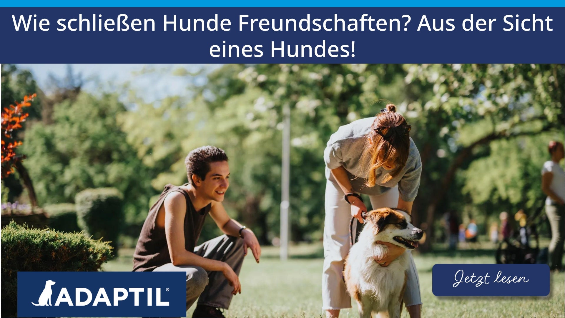 Wie schließen Hunde Freundschaften? Aus der Sicht eines Hundes!