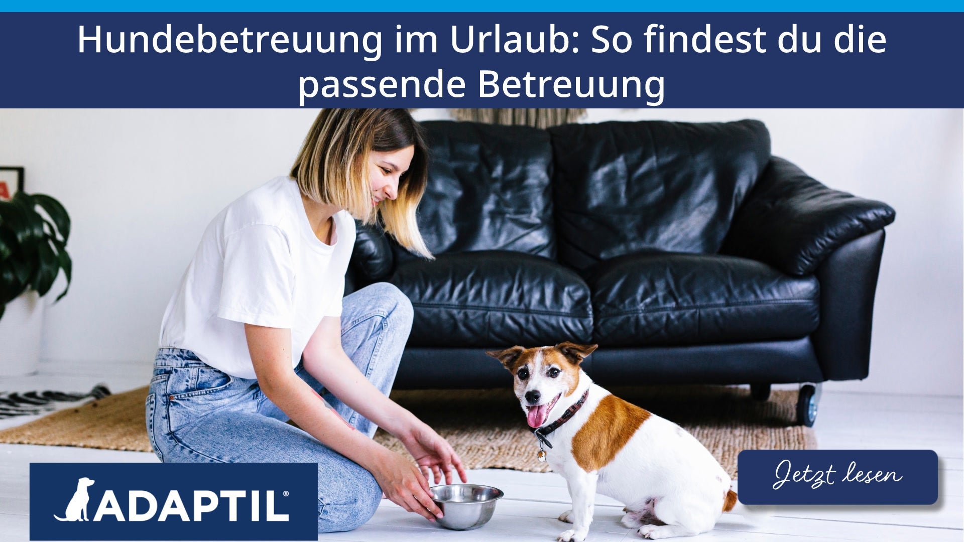 Hundebetreuung im Urlaub: So findest du die passende Betreuung